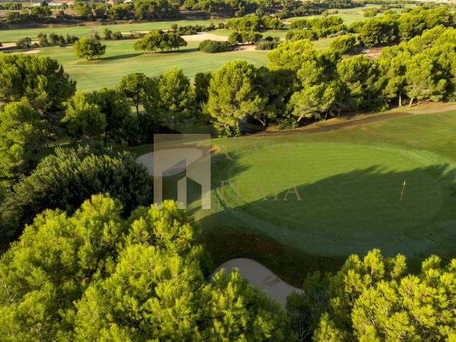 Inwestycja Pinar de Campoverde, Alicante Ctra. Orihuela 8